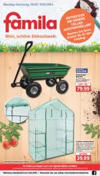 Gazetka promocyjna Famila - Prospekte - Gazetka - ważna od 11.02 do 11.02.2023 - strona 1 - produkty: eis, elle, Garten, Gewächshaus, hering, jever, Kugel, LG, regal, reis, rel, Ria, ring, teller, Ti, tomate, tomaten, Weste, Wild