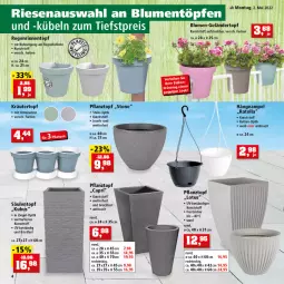Gazetka promocyjna Thomas Philipps - Prospektwerbung - Gazetka - ważna od 07.05 do 07.05.2022 - strona 4 - produkty: blume, blumen, Cap, Hängeampel, kräuter, Pflanztopf, Ti, topf, Untersetzer, Yo