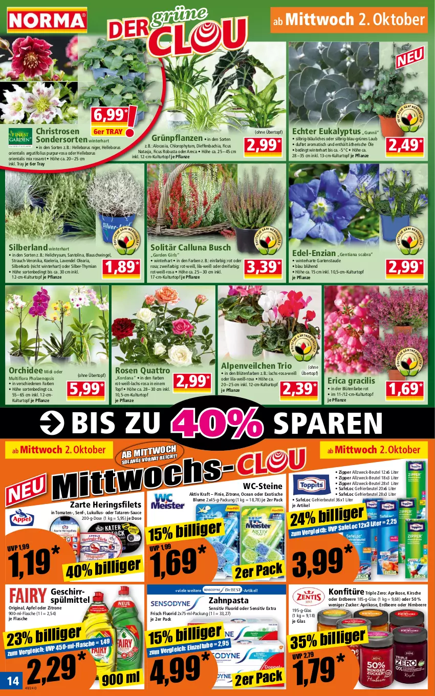 Aktueller Prospekt Norma - Norma - von 30.09 bis 07.10.2024 - strona 14 - produkty: Alpenveilchen, apfel, aprikose, beere, beutel, blume, Blüte, chia, elle, erdbeere, Ficus, filet, filets, flasche, Garten, gefrierbeutel, geschirr, geschirrspülmittel, gin, Grünpflanzen, hering, Herings, heringsfilets, himbeer, himbeere, kirsch, kirsche, konfitüre, korb, kraft, kulturtopf, lachs, lavendel, lukull, orchidee, pasta, pflanze, pflanzen, phalaenopsis, Rauch, Ria, ring, rosen, saro, sauce, senf, spülmittel, Ti, tisch, tomate, tomaten, topf, übertopf, WC-Steine, weck, zahnpasta, zipper, zitrone, zucker