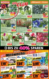 Gazetka promocyjna Norma - Norma - Gazetka - ważna od 07.10 do 07.10.2024 - strona 14 - produkty: Alpenveilchen, apfel, aprikose, beere, beutel, blume, Blüte, chia, elle, erdbeere, Ficus, filet, filets, flasche, Garten, gefrierbeutel, geschirr, geschirrspülmittel, gin, Grünpflanzen, hering, Herings, heringsfilets, himbeer, himbeere, kirsch, kirsche, konfitüre, korb, kraft, kulturtopf, lachs, lavendel, lukull, orchidee, pasta, pflanze, pflanzen, phalaenopsis, Rauch, Ria, ring, rosen, saro, sauce, senf, spülmittel, Ti, tisch, tomate, tomaten, topf, übertopf, WC-Steine, weck, zahnpasta, zipper, zitrone, zucker