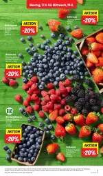 Gazetka promocyjna Lidl - Aktionsprospekt - Gazetka - ważna od 22.04 do 22.04.2023 - strona 3 - produkty: Abtei, beere, beeren, bio, discount, eis, erdbeere, erdbeeren, heidelbeere, heidelbeeren, himbeer, himbeere, himbeeren, reis, Ti