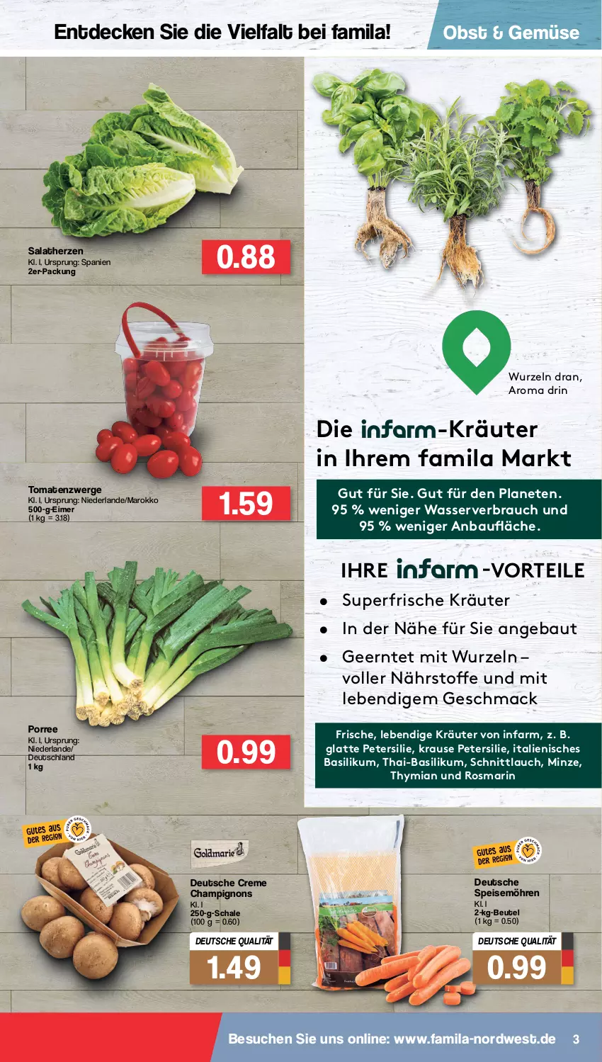 Aktueller Prospekt Famila - Prospekte - von 07.02 bis 12.02.2022 - strona 3 - produkty: basilikum, Bau, beutel, champignon, champignons, creme, decke, eimer, eis, kräuter, latte, mac, minze, möhren, obst, petersilie, Rauch, rosmarin, salat, salatherzen, Schal, Schale, schnittlauch, speisemöhren, tomate, tomaten, wasser