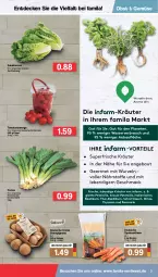 Gazetka promocyjna Famila - Prospekte - Gazetka - ważna od 12.02 do 12.02.2022 - strona 3 - produkty: basilikum, Bau, beutel, champignon, champignons, creme, decke, eimer, eis, kräuter, latte, mac, minze, möhren, obst, petersilie, Rauch, rosmarin, salat, salatherzen, Schal, Schale, schnittlauch, speisemöhren, tomate, tomaten, wasser