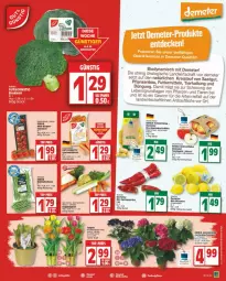 Gazetka promocyjna Edeka - Prospekte - Gazetka - ważna od 03.02 do 03.02.2024 - strona 3 - produkty: Bau, beutel, bio, bio-zitronen, deka, eis, hortensie, hortensien, mac, möhren, paprika, pflanze, pflanzen, reis, Ria, Schal, Schale, speisemöhren, Spitzpaprika, tafeläpfel, Ti, Tiere, tomate, tomaten, zitrone, zitronen