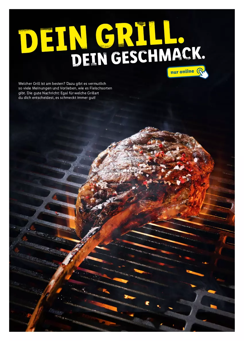 Aktueller Prospekt Lidl - Grillen - von 11.04 bis 23.09.2023 - strona 10 - produkty: eis, fleisch, grill