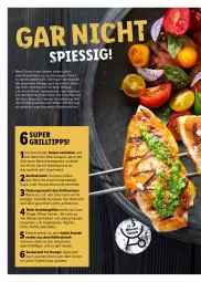 Gazetka promocyjna Lidl - Grillen - Gazetka - ważna od 23.09 do 23.09.2023 - strona 14 - produkty: aubergine, auberginen, blume, blumen, blumenöl, bürste, butter, buttermilch, Draht, eis, ente, fleisch, gin, grill, grilltipp, ilag, kühlschrank, Kürbis, latte, mac, mais, Meister, milch, paprika, pilze, Rauch, rezept, rum, salat, Schrank, sonnenblume, sonnenblumen, sonnenblumenöl, spiritus, Ti, tomate, tomaten, wasser