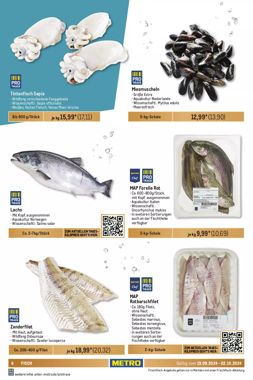 Aktueller Prospekt Metro - GastroJournal - von 19.09 bis 02.10.2024 - strona 6 - produkty: Abtei, angebot, angebote, aqua, beutel, cin, eis, elle, ente, filet, filets, fisch, fische, fischtheke, fleisch, forelle, frischfisch, krone, lachs, lachsfilet, matjes, Matjesfilet, matjesfilets, Metro, Muscheln, Rauch, reis, rel, ring, Rotbarsch, rotbarschfilet, rwe, Schal, Schale, schnitten, Ti, Tintenfischringe, Waage, Wild, wolfsbarsch, Zander