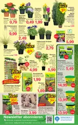 Gazetka promocyjna Jawoll - Prospekte - Gazetka - ważna od 18.03 do 18.03.2023 - strona 12 - produkty: angebot, angebote, auer, ball, Bau, beere, beeren, berliner, beutel, blume, blumen, blumenerde, brombeere, Container, corona, drucker, dünger, eimer, eis, Engel, erde, Garten, gutschein, gutscheine, himbeer, himbeere, HP, kartoffel, kartoffeln, kerze, Kraut, kräuter, lavendel, Narzissen, obst, pflanze, pflanzen, Pflanzkartoffeln, rasen, rasendünger, reis, Ria, rind, rindenmulch, rosmarin, sac, Spezi, Sport, Ti, topf, zwiebel