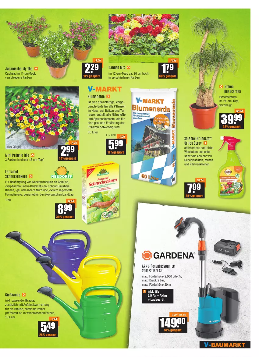 Aktueller Prospekt Vmarkt - V-Baumarkt - von 27.05 bis 01.06.2022 - strona 3 - produkty: akku, Akku-Regenfasspumpe, aust, Bau, bio, blume, blumen, blumenerde, brause, dahlie, Elefant, ente, erde, ferramol schneckenkorn, Gießkanne, korn, ladegerät, obst, petunie, pflanze, pflanzen, schneckenkorn, sekt, Stier, Ti, Tiere, topf, übertopf