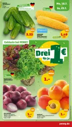 Gazetka promocyjna Penny - Prospekte - Gazetka - ważna od 23.07 do 23.07.2022 - strona 3 - produkty: aprikose, aprikosen, aust, bunte salate, Elan, gurke, gurken, mais, Rote Zwiebel, salat, salate, Schal, Schale, zucker, zuckermais, zwiebel, zwiebeln