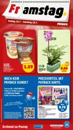 Gazetka promocyjna Penny - Prospekte - Gazetka - ważna od 23.07 do 23.07.2022 - strona 36 - produkty: beutel, eis, Elan, frucht, fruchtgummi, lachgummi, orchidee, payback, pflanze, preisvorteil, reis, tee