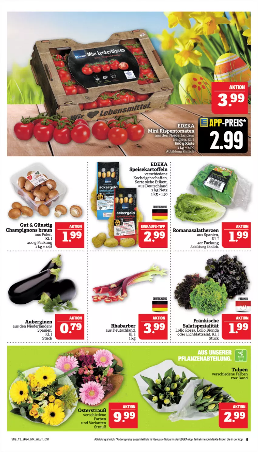 Aktueller Prospekt Marktkauf - Prospekt - von 24.03 bis 30.03.2024 - strona 9 - produkty: aktionspreis, aubergine, auberginen, bio, braun, champignon, champignons, champignons braun, deka, Eichblattsalat, eis, elle, gin, kartoffel, kartoffeln, nuss, reis, rhabarber, rispentomaten, Romanasalat, salat, salatherzen, speisekartoffeln, Ti, tomate, tomaten