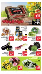 Gazetka promocyjna Marktkauf - Prospekt - Gazetka - ważna od 30.03 do 30.03.2024 - strona 9 - produkty: aktionspreis, aubergine, auberginen, bio, braun, champignon, champignons, champignons braun, deka, Eichblattsalat, eis, elle, gin, kartoffel, kartoffeln, nuss, reis, rhabarber, rispentomaten, Romanasalat, salat, salatherzen, speisekartoffeln, Ti, tomate, tomaten