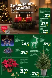 Gazetka promocyjna  - Gazetka - ważna od 08.11 do 08.11.2025 - strona 2 - produkty: Adventskranz, batterie, Garten, kerze, Kette, Kranz, lichterkette, tee, Ti, topf, übertopf, Weihnachtsstern
