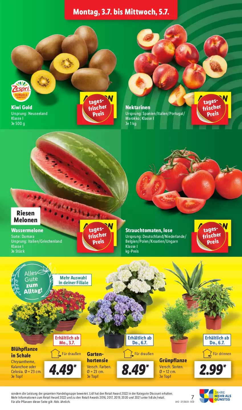 Aktueller Prospekt Lidl - Aktionsprospekt - von 03.07 bis 08.07.2023 - strona 7 - produkty: discount, eis, Elan, Garten, hortensie, HP, Kalanchoe, kiwi, Kiwi Gold, LG, melone, melonen, Nektar, nektarinen, pflanze, pflanzen, Rauch, reis, Schal, Schale, strauchtomaten, Ti, tomate, tomaten, topf, wasser, wassermelone