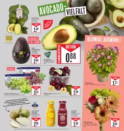 Gazetka promocyjna Edeka - Angebote der Woche - Gazetka - ważna od 14.10 do 14.10.2023 - strona 5 - produkty: avocado, avocados, beutel, Birnen, chrysanthemen, deka, eis, ente, flasche, nuss, pflaume, pflaumen, reis, Schal, Schale, smoothie, Ti, tisch, topf, trauben, ZTE