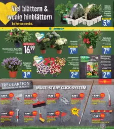 Gazetka promocyjna E Center - Angebote der Woche - Gazetka - ważna od 15.04 do 15.04.2023 - strona 6 - produkty: Bau, beutel, bio, blume, blumen, blumenerde, Blüte, bürste, Campanula, deka, dip, dipladenia, eis, elle, ente, Erdbeerpflanze, erde, Fugenbürste, Garten, geranie, hortensie, Kaiser, kräuter, lavendel, obst, Pelargonium, pflanze, pflanzen, reis, rosmarin, säge, super-knüller, teller, Ti, topf, wolfgarten