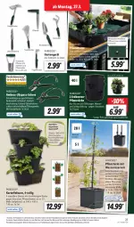 Gazetka promocyjna Lidl - Aktionsprospekt - Gazetka - ważna od 01.04 do 01.04.2023 - strona 31 - produkty: asti, auto, ball, Bau, beere, beeren, Behälter, blume, blumen, boss, Clin, edelstahl, eis, elle, erdbeere, erdbeeren, Garten, gsw, kartoffel, Kraut, Parkside, pflanze, pflanzen, reis, Ria, Schere, Ti, topf, Topfen, wasser, weck, ZTE, zwiebel, zwiebeln