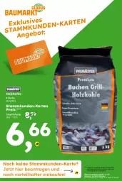 Gazetka promocyjna  - Gazetka - ważna od 12.04 do 12.04.2025 - strona 17 - produkty: angebot, buch, eis, globus fachmärkte, Holz, holzkohle, reis, Ti