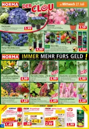 Gazetka promocyjna Norma - Norma - Gazetka - ważna od 01.08 do 01.08.2022 - strona 12 - produkty: ACC, apfel, Bau, beere, beeren, bio, biozidprodukte, blume, Blüte, chrysanthemen, cin, cranberry, eis, Elan, Ficus, Garten, gin, grana, granatapfel, heidelbeere, heidelbeeren, hortensie, kleid, kleider, kulturtopf, Liege, mac, Mottenfalle, natur, nuk, obst, pflanze, pflanzen, punica, Rana, Rauch, rel, rezept, Ria, riesling, rum, rwe, saro, sekt, Ti, tisch, topf, wein