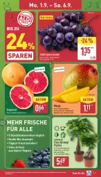 Gazetka promocyjna Aldi Nord - Von Montag - Gazetka - ważna od 06.09 do 06.09.2025 - strona 3 - produkty: bio, Ficus, gin, grapefruit, kulturtopf, mango, Pachira, pflanze, Schal, Schale, tafeltrauben, Ti, topf, trauben, ZTE