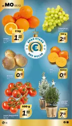 Gazetka promocyjna Netto - Woche 49 - Gazetka - ważna od 10.12 do 10.12.2022 - strona 2 - produkty: cocktail, Kaki, orange, orangen, rispentomaten, Ti, tomate, tomaten, topf, trauben, übertopf, zucker