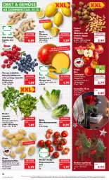 Gazetka promocyjna Kaufland - Gazetka - ważna od 07.12 do 07.12.2022 - strona 12 - produkty: angebot, beere, beeren, bio, eis, erdnüsse, früchte, heidelbeere, heidelbeeren, himbeer, himbeere, himbeeren, ingwer, kartoffel, kartoffeln, Koriander, kräuter, LG, mango, minze, obst, petersilie, pflanze, pflanzen, Ria, rispentomaten, Romanasalat, sac, salat, speisekartoffeln, tafeläpfel, Ti, tisch, tomate, tomaten, trolli, Vase, zitrone, zitronen, ZTE