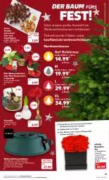 Gazetka promocyjna Kaufland - Gazetka - ważna od 07.12 do 07.12.2022 - strona 13 - produkty: angebot, angebote, Bau, Datteln, decke, erde, Feigen, Holz, Kranz, Ria, riegel, rosen, Ti, topf, wasser, wassertank, Weihnachtsbaum, Weihnachtsstern