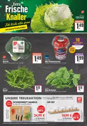Gazetka promocyjna Edeka - Angebote der Woche - Gazetka - ważna od 18.03 do 18.03.2023 - strona 5 - produkty: bambus, Becher, blattspinat, cola, dip, discount, eis, eisbergsalat, erde, messer, pflaume, pflaumen, reis, rucola, salat, Schal, Schale, snack, snacks, spinat, Ti, tomate, tomaten, uhr