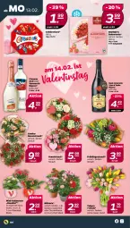Gazetka promocyjna Netto - Woche 7 - Gazetka - ważna od 18.02 do 18.02.2023 - strona 4 - produkty: asti, cin, cinzano, Cinzano Asti, Gerber, Kalanchoe, rosen, Rosenstrauß, sahne, Ti, topf, torte, übertopf, Vase, Vermouth