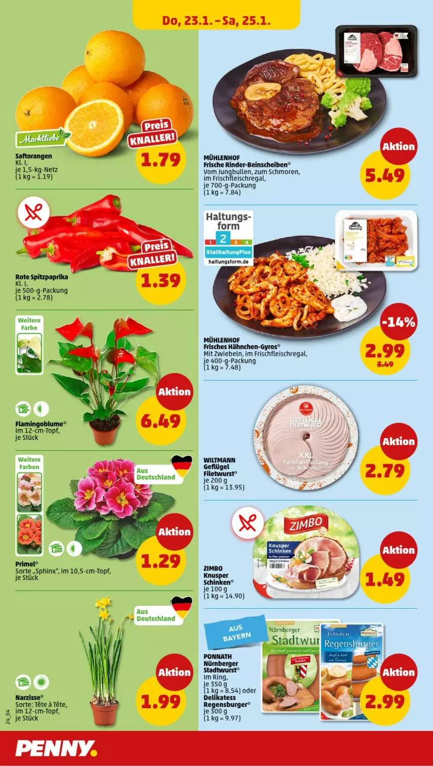 Aktueller Prospekt Penny - Prospekte - von 20.01 bis 25.01.2025 - strona 24 - produkty: Berger, blume, burger, eis, filet, fleisch, Geflügel, gyros, mit zwiebeln, nürnberger, paprika, regal, regensburger, rind, rinder, ring, schinken, Spitzpaprika, topf, wiltmann, wurst, zimbo, zwiebel, zwiebeln