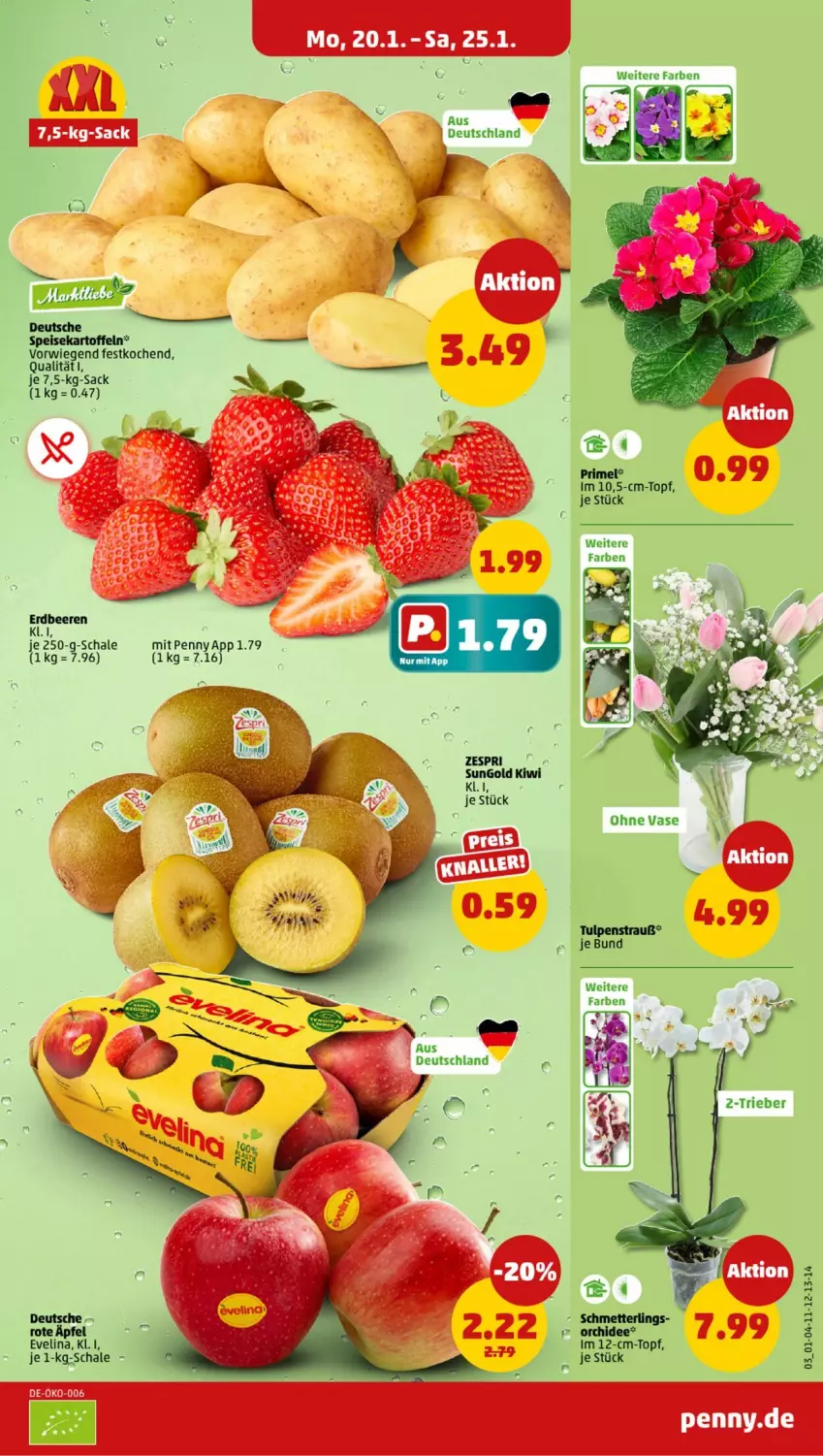 Aktueller Prospekt Penny - Prospekte - von 20.01 bis 25.01.2025 - strona 3 - produkty: beere, beeren, erdbeere, erdbeeren, kartoffel, kartoffeln, kiwi, sac, Schal, Schale, topf, zespri