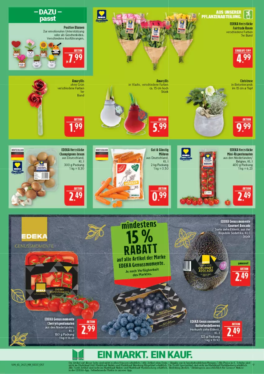 Aktueller Prospekt Marktkauf - Prospekt - von 02.11 bis 08.11.2025 - strona 9 - produkty: aktionspreis, avocado, beere, beeren, blume, blumen, braun, champignon, champignons, champignons braun, deka, eis, ente, heidelbeere, heidelbeeren, LG, mini-rispentomaten, möhren, nuss, reis, rispentomaten, rosen, schuhe, Sport, Ti, tomate, tomaten, topf