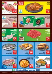 Gazetka promocyjna Marktkauf - Prospekt - Gazetka - ważna od 08.11 do 08.11.2025 - strona 13 - produkty: braten, brötchen, chili, dressing, eis, ente, filet, fisch, frischfisch, garnelen, grill, kokos, kokosmilch, lachs, lachsfilet, mac, matjes, milch, natur, pfanne, pfannen, reis, salat, seelachsfilet, Ti, ZTE