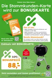 Gazetka promocyjna  - Gazetka - ważna od 01.11 do 01.11.2025 - strona 9 - produkty: angebot, coupon, coupons, eis, globus fachmärkte, grill, grillrost, Holz, holzkohle, holzkohlegrill, Kohlegrill, Reinigung, reis, Schal, Schale, thermometer, Ti, Tiere