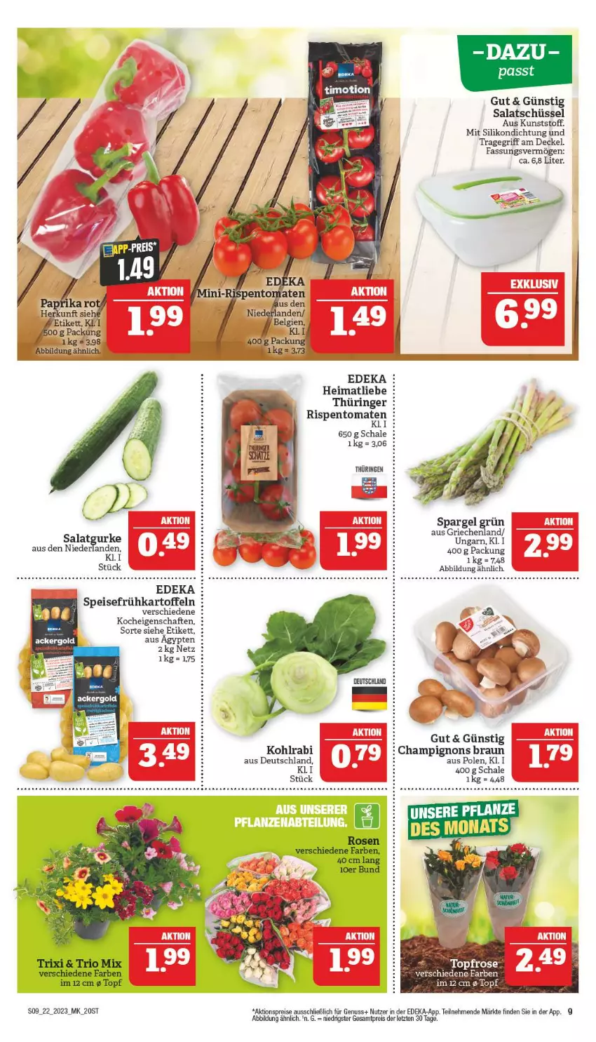 Aktueller Prospekt Marktkauf - Prospekt - von 27.05 bis 03.06.2023 - strona 9 - produkty: aktionspreis, braun, champignon, champignons, champignons braun, decke, Deckel, deka, eier, eis, Frühkartoffeln, gurke, kartoffel, kartoffeln, kohlrabi, nuss, reis, ring, rispentomaten, salat, Salatgurke, Schal, Schale, schüssel, spargel, spargel grün, speisefrühkartoffeln, Ti, tomate, tomaten, topf, tragegriff, ZTE