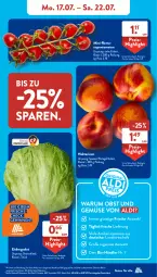 Gazetka promocyjna AldiSud - NÄCHSTE WOCHE - Gazetka - ważna od 22.07 do 22.07.2023 - strona 7 - produkty: aldi, alle artikel ohne dekoration, bio, Bio-Obst, dekoration, eis, eisbergsalat, elle, Nektar, nektarinen, obst, Obst und Gemüse, reis, rispentomaten, rum, salat, Ti, tomate, tomaten, und gemüse, ZTE