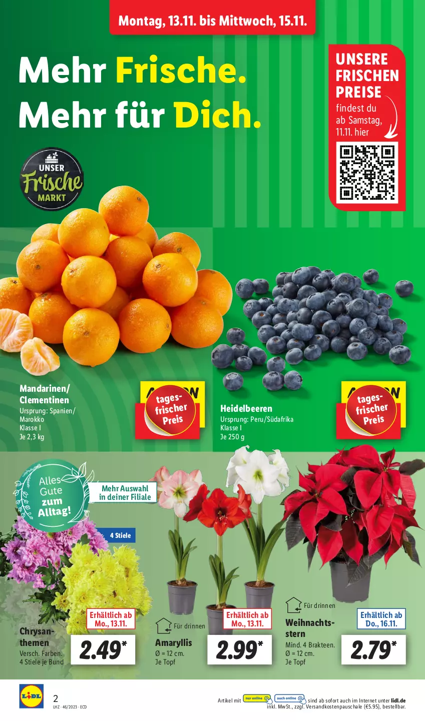 Aktueller Prospekt Lidl - Aktionsprospekt - von 13.11 bis 18.11.2023 - strona 2 - produkty: beere, beeren, chrysanthemen, clementinen, eis, heidelbeere, heidelbeeren, mandarine, mandarinen, ndk, reis, Schal, Schale, tee, Ti, topf, Weihnachtsstern