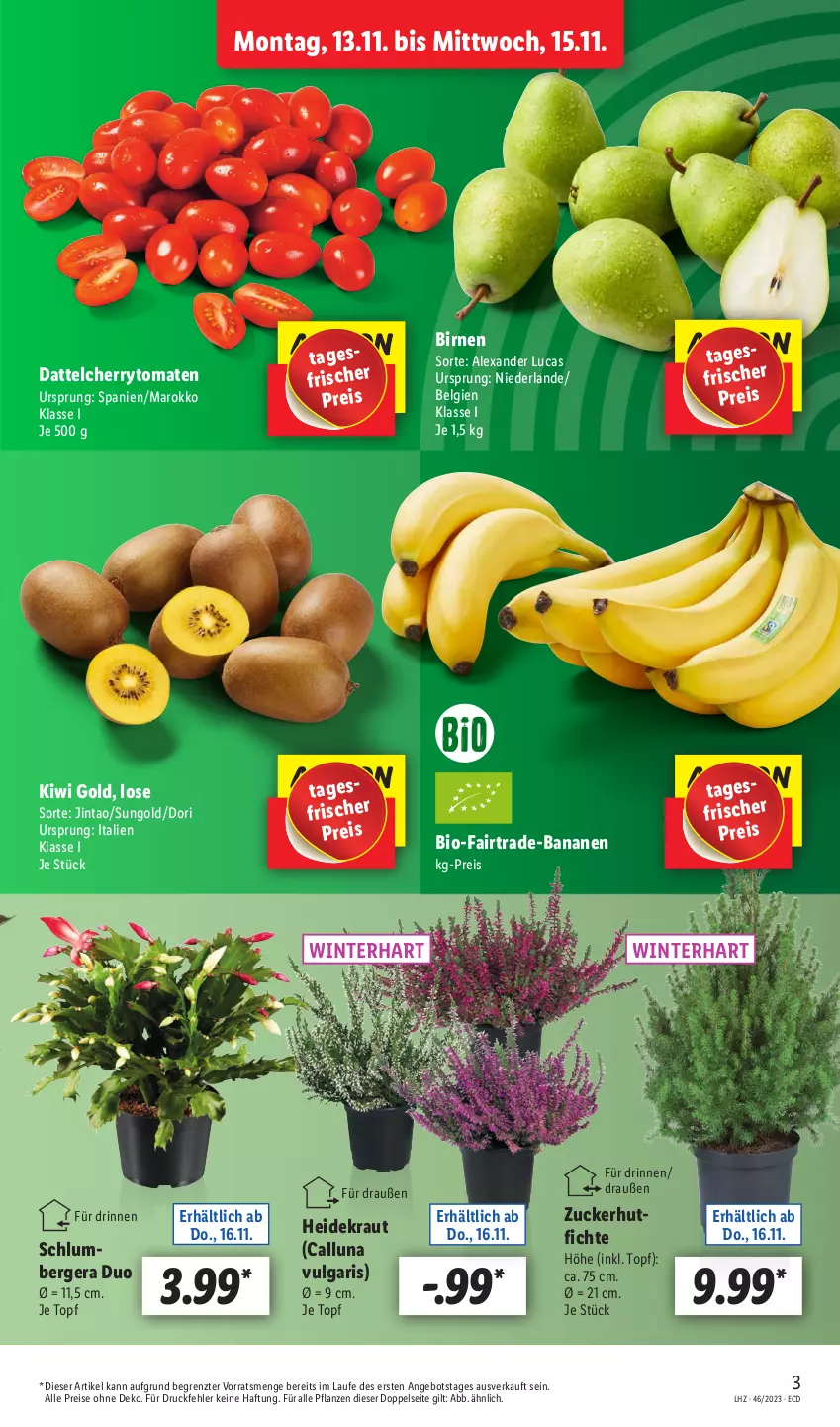 Aktueller Prospekt Lidl - Aktionsprospekt - von 13.11 bis 18.11.2023 - strona 3 - produkty: alexa, angebot, banane, bananen, Berger, bio, Birnen, cherrytomaten, eis, Heidekraut, kiwi, Kiwi Gold, Kraut, LG, pflanze, pflanzen, reis, Ti, tomate, tomaten, topf, ZTE, zucker