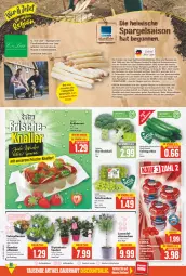 Gazetka promocyjna E Center - Angebote der Woche - Gazetka - ważna od 23.04 do 23.04.2022 - strona 2 - produkty: alexa, Bau, beere, beeren, bio, brokkoli, deka, dip, dipladenia, Elan, erdbeere, erdbeeren, gurke, gurken, kohlrabi, kopfsalat, lavendel, mac, obst, Obst und Gemüse, Omep, pflanze, pflanzen, salat, Salatgurke, salatgurken, spargel, spitzkohl, Sport, tafeltrauben, Ti, tisch, topf, trauben, und gemüse