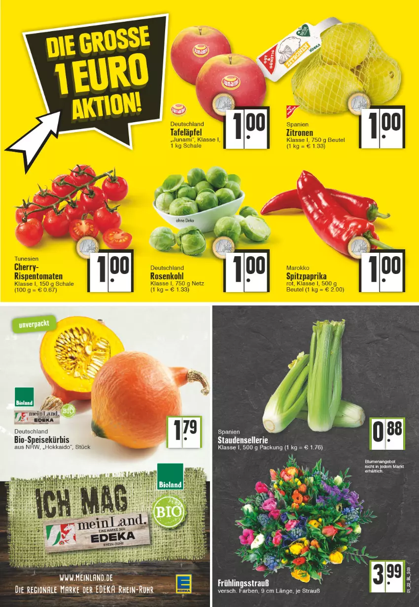 Aktueller Prospekt Edeka - Angebote der Woche - von 03.01 bis 08.01.2022 - strona 3 - produkty: bio, eis, elle, Kürbis, stauden