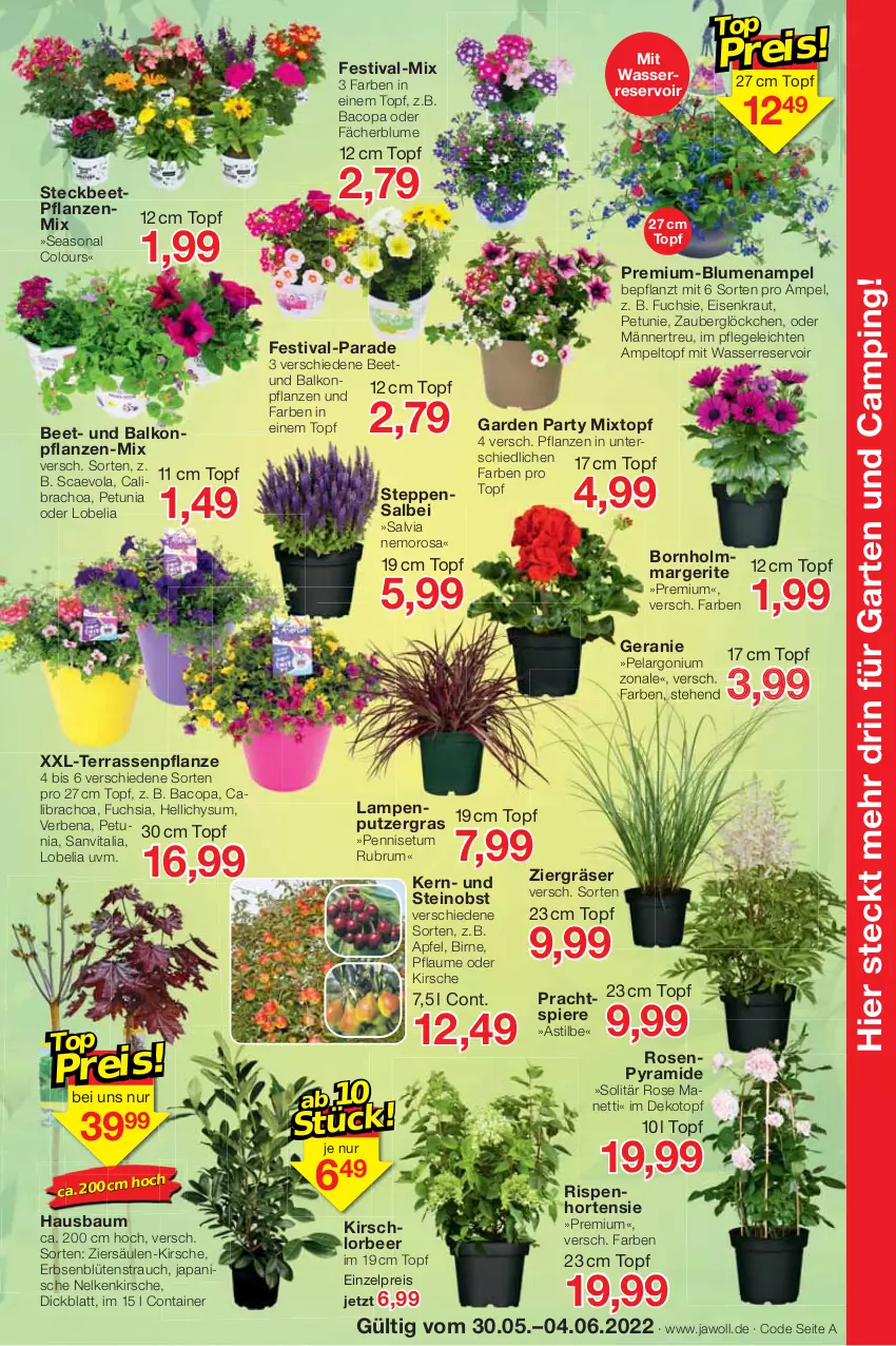 Aktueller Prospekt Jawoll - Prospekte - von 29.05 bis 04.06.2022 - strona 7 - produkty: apfel, asti, balkonpflanzen, Bau, beetpflanzen, blume, blumen, Blumenampel, Blüte, calibrachoa, Container, eis, erbsen, Garten, geranie, hortensie, kirsch, kirsche, Kraut, Lampe, obst, Pelargonium, petunie, pflanze, pflanzen, pflaume, Rauch, reis, rosen, rum, Ti, topf, usb, vita, wasser, zauberglöckchen