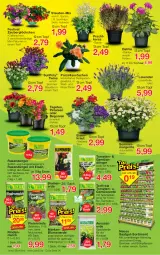 Gazetka promocyjna Jawoll - Prospekte - Gazetka - ważna od 04.06 do 04.06.2022 - strona 6 - produkty: Begonie, blume, blumen, blumenerde, calibrachoa, dahlie, dünger, eimer, eis, erde, Garten, Gemüsedünger, Gemüseerde, HP, kerze, Kraut, kräuter, lavendel, petunie, petunien, pflanze, pflanzen, rasen, rasendünger, rind, rindenmulch, sac, Spezi, stauden, Ti, tomate, tomaten, topf, zauberglöckchen