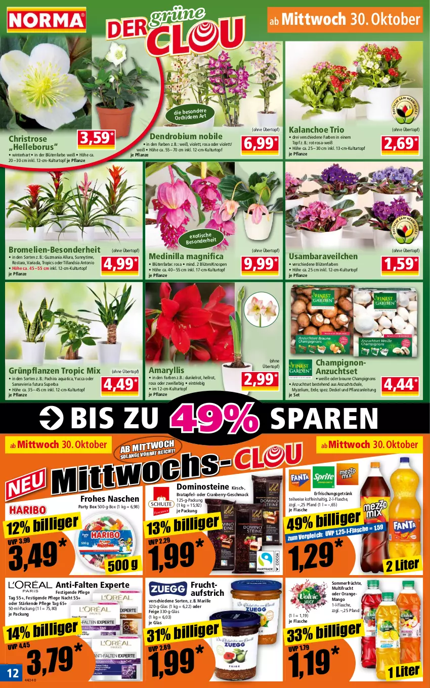 Aktueller Prospekt Norma - Norma - von 28.10 bis 04.11.2024 - strona 12 - produkty: anti-falten experte, apfel, aqua, aufstrich, Blüte, braun, Bromelie, champignon, champignons, cranberry, decke, Deckel, Dominosteine, eis, elle, erde, erfrischungsgetränk, flasche, frucht, fruchtaufstrich, früchte, getränk, Grünpflanzen, Kalanchoe, kirsch, kulturtopf, mac, mango, orange, orchidee, orchideen, Pachira, pflanze, pflanzen, Ria, Schal, Schale, Ti, tisch, topf, übertopf