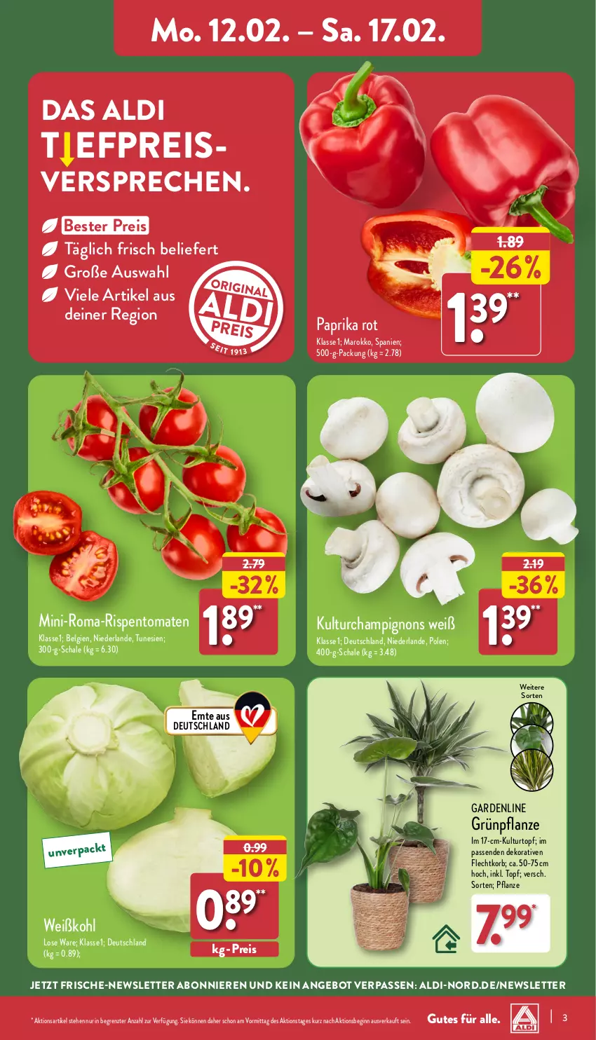 Aktueller Prospekt Aldi Nord - Von Montag - von 12.02 bis 17.02.2024 - strona 3 - produkty: aldi, angebot, Blüte, Brei, champignon, champignons, eis, gin, korb, kulturtopf, LG, paprika, paprika rot, pflanze, reis, rispentomaten, Schal, Schale, Ti, tomate, tomaten, topf, Weißkohl, ZTE