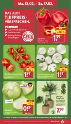 Gazetka promocyjna Aldi Nord - Von Montag - Gazetka - ważna od 17.02 do 17.02.2024 - strona 3 - produkty: aldi, angebot, Blüte, Brei, champignon, champignons, eis, gin, korb, kulturtopf, LG, paprika, paprika rot, pflanze, reis, rispentomaten, Schal, Schale, Ti, tomate, tomaten, topf, Weißkohl, ZTE