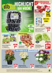 Gazetka promocyjna Edeka - Prospekte - Gazetka - ważna od 01.06 do 01.06.2024 - strona 3 - produkty: angebot, auer, Bau, Bauer, beere, beeren, bio, champignon, champignons, chrysanthemen, coupon, coupons, dahlie, deka, eis, eisbergsalat, florette, heidelbeere, heidelbeeren, kartoffel, kartoffeln, kopfsalat, nuss, paprika, paprika rot, Pfingstrosen, rabatt-coupon, reifen, reis, rosen, Rosenstrauß, salat, Schal, Schale, Süßkartoffeln, Ti, topf, ZTE