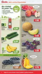 Gazetka promocyjna Famila - Prospekte - Gazetka - ważna od 13.08 do 13.08.2022 - strona 2 - produkty: ananas, banane, bananen, beere, beeren, bio, galia melonen, gurke, gurken, heidelbeere, heidelbeeren, mac, melone, melonen, natur, Pink Lady, Rauch, salat, Salatgurke, salatgurken, Schal, Schale, strauchtomaten, sweet ananas, tafeläpfel, Ti, tomate, tomaten