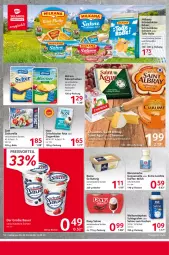 Gazetka promocyjna Selgros - Food - Gazetka - ważna od 15.03 do 15.03.2023 - strona 10 - produkty: bärenmarke, Becher, Dany, dany sahne, eis, erde, feta, flasche, kaffee, Käse, käsescheiben, milch, milka, milkana, milram, nuss, preisvorteil, rama, reis, rel, sahne, Schal, Schale, schlagrahm, Schmelzkäse, schoko, Ti, weihenstephan, ziegenkäse, zott, zottarella