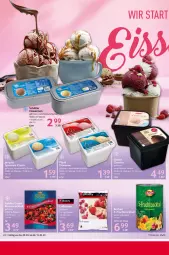 Gazetka promocyjna Selgros - Food - Gazetka - ważna od 15.03 do 15.03.2023 - strona 22 - produkty: beere, beeren, eis, erdbeere, erdbeeren, reis, Ti, Wanne